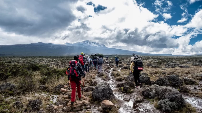 Kilimanjaro Hike Tour