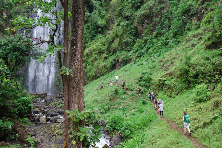 Materuni Waterfalls Tour