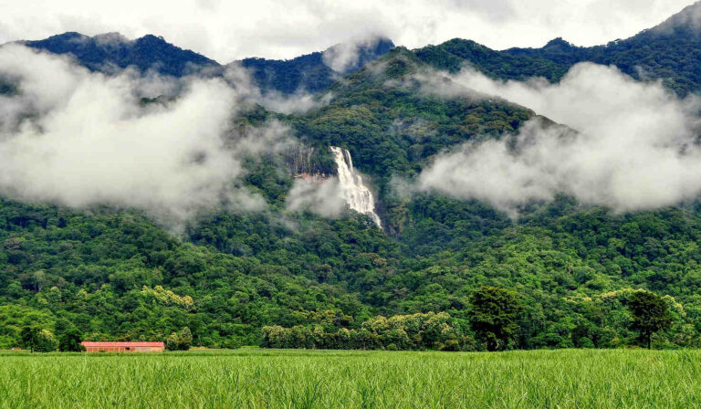 Udzungwa National Park